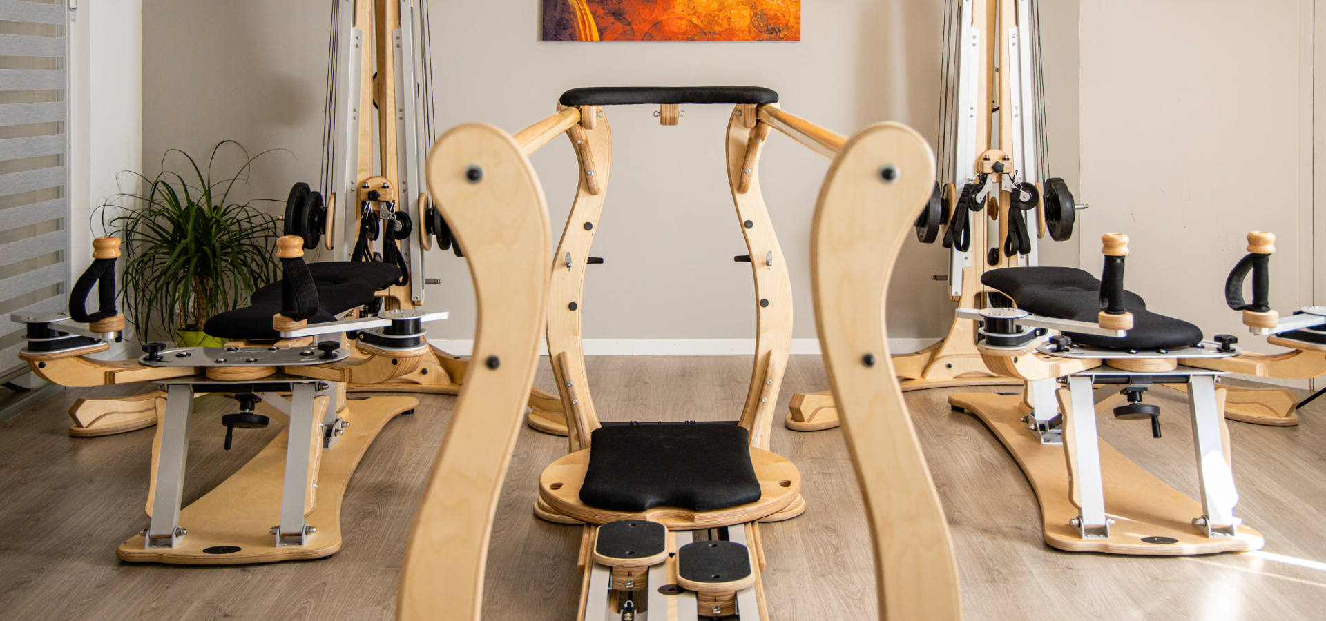 GYROTONIC® Ascona - Slide 4